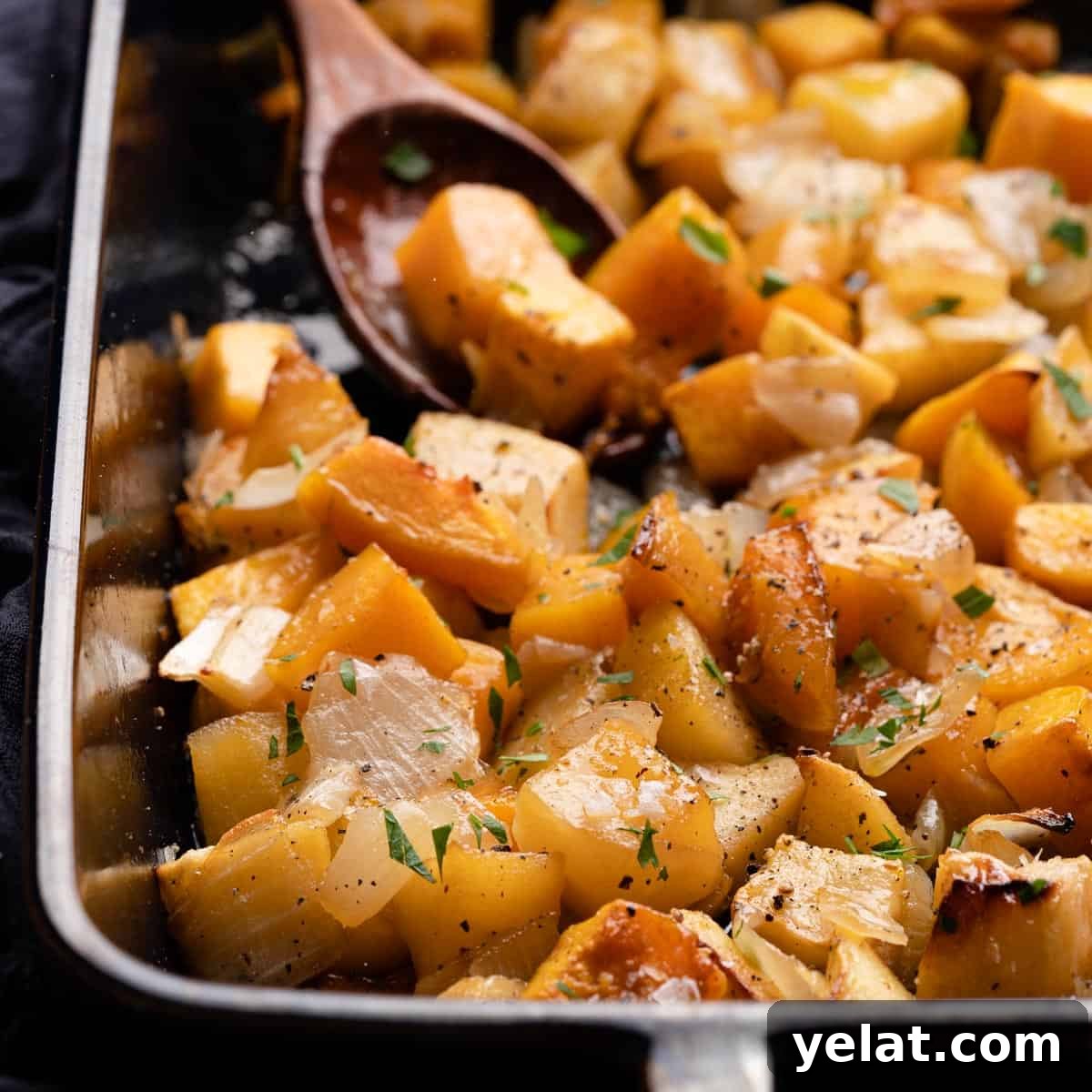 featured 1002