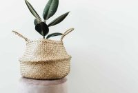 July Favorites: Top Picks from July 16, 2021