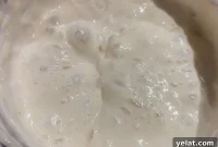 Sourdough Starter Made Simple: La Masa Madre Más Fácil