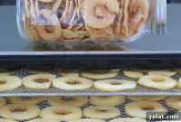 How to Dehydrate Apples at Home: Simple Step-by-Step Guide