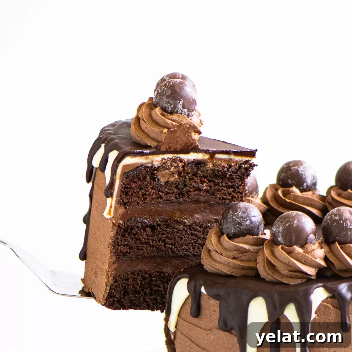 featured 2265