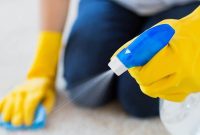 Clean Carpets Naturally: Baking Soda and Vinegar Guide