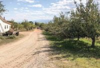 Discover Happy Apple Farm: Orchards, Pick-Your-Own & Events