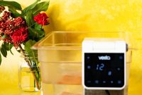 Sous Vide Cooking Explained: A Beginner’s Guide to Perfect Results