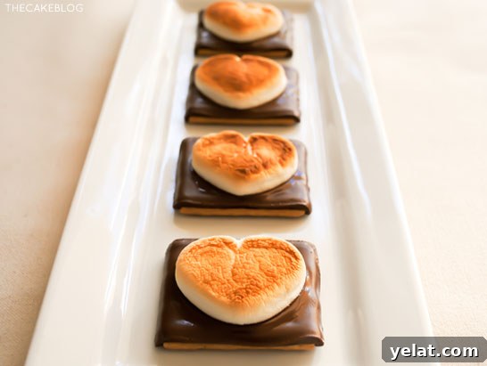 Heart-Shaped S’mores Cookies: Valentine Dessert Recipe 4 Heart Shaped S'more Cookies!! A super easy, 3 ingredient Valentines treat that takes less than 10 minutes! | by Carrie Sellman for TheCakeBlog.com