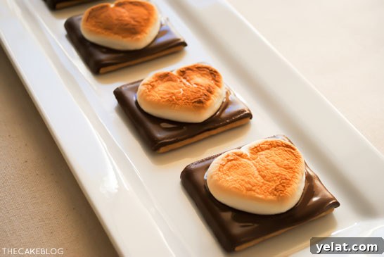 Heart-Shaped S’mores Cookies: Valentine Dessert Recipe 6 Heart Shaped S'more Cookies!! A super easy, 3 ingredient Valentines treat that takes less than 10 minutes! | by Carrie Sellman for TheCakeBlog.com