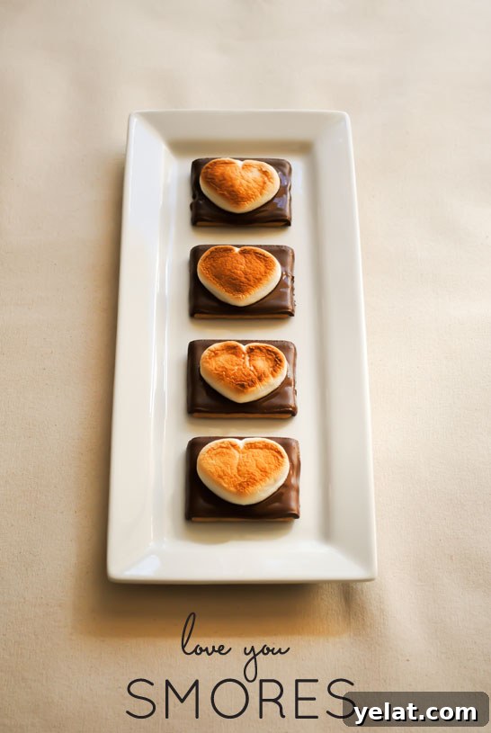 Heart-Shaped S’mores Cookies: Valentine Dessert Recipe 7 Heart Shaped S'more Cookies!! A super easy, 3 ingredient Valentines treat that takes less than 10 minutes! | by Carrie Sellman for TheCakeBlog.com