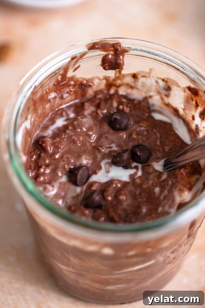 Brownie Batter Overnight Protein Oats Recipe 2 Jar of overnight chocolate protein oats with a few chocolate chips sprinkled over top.