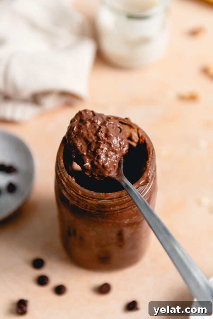 Brownie Batter Overnight Protein Oats Recipe 5 Spoonful of chocolate oats resting on the lip of a jar of overnight oats.