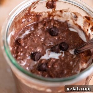 Brownie Batter Overnight Protein Oats Recipe 8 Jar of overnight chocolate protein oats with a few chocolate chips sprinkled over top.