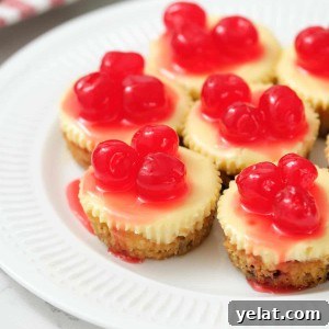 yummy chocolate chip cookie cheese cake