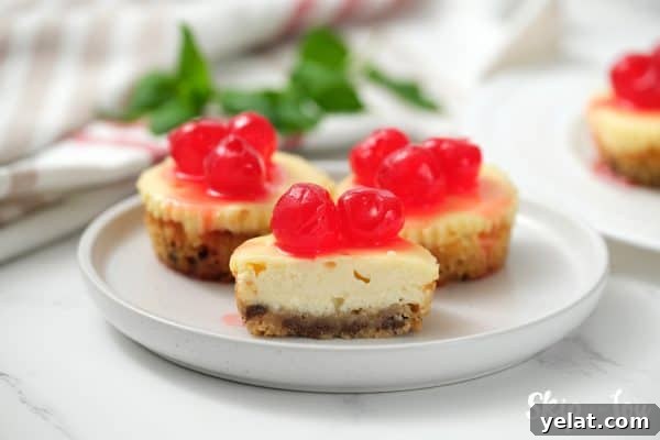 serving of chocolate chip cookie cheesecakes