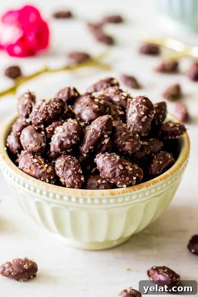 Sea Salt & Turbinado Sugar Dark Chocolate Almonds