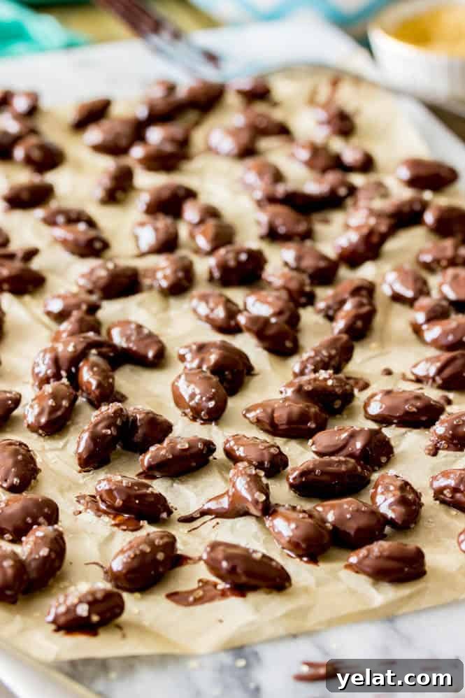 Sea Salt & Turbinado Sugar Dark Chocolate Almonds Drying