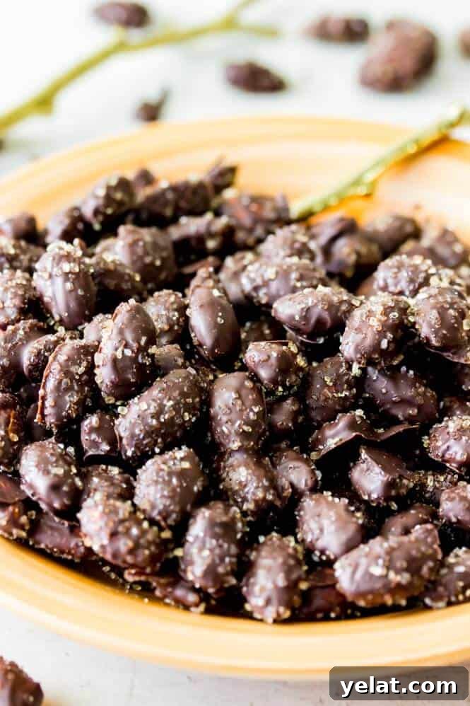 Sea Salt & Turbinado Sugar Dark Chocolate Almonds 