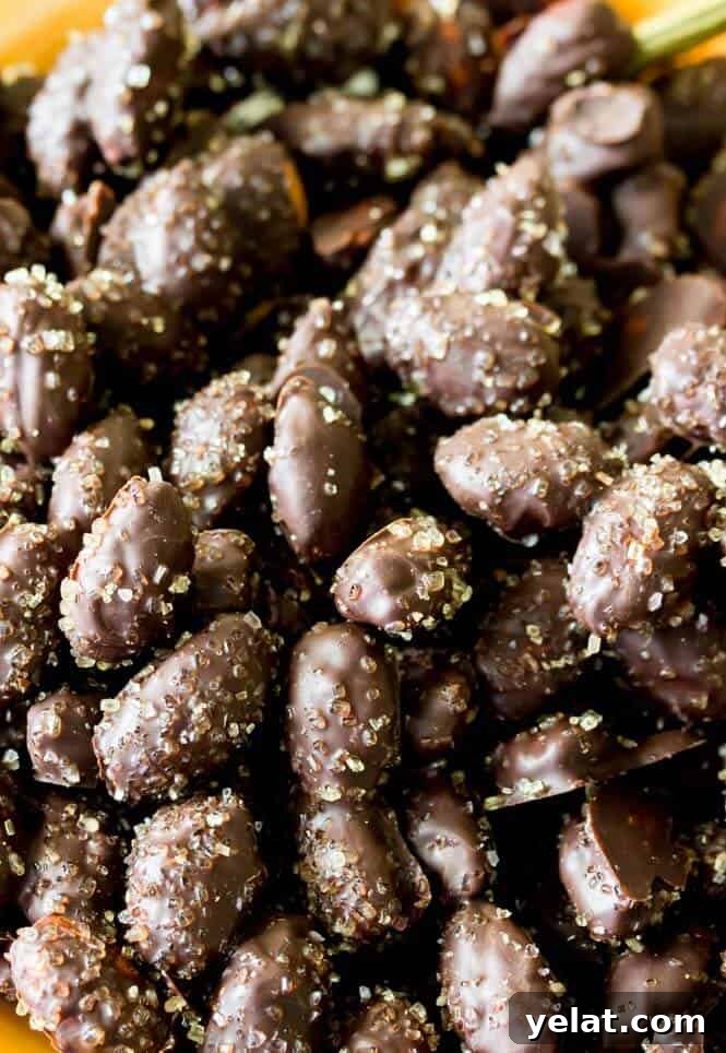 Sea Salt & Turbinado Sugar Dark Chocolate Almonds 