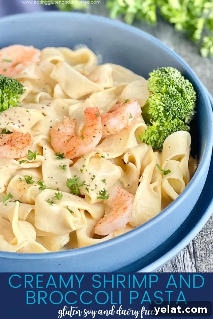 Garlic Shrimp and Broccoli Pasta Recipe for Quick Weeknight Dinners 3 Blue bowl with thick pasta noodles in a creamy white sauce, sautéed shrimp, and steamed broccoli, garnished with chopped parsley.