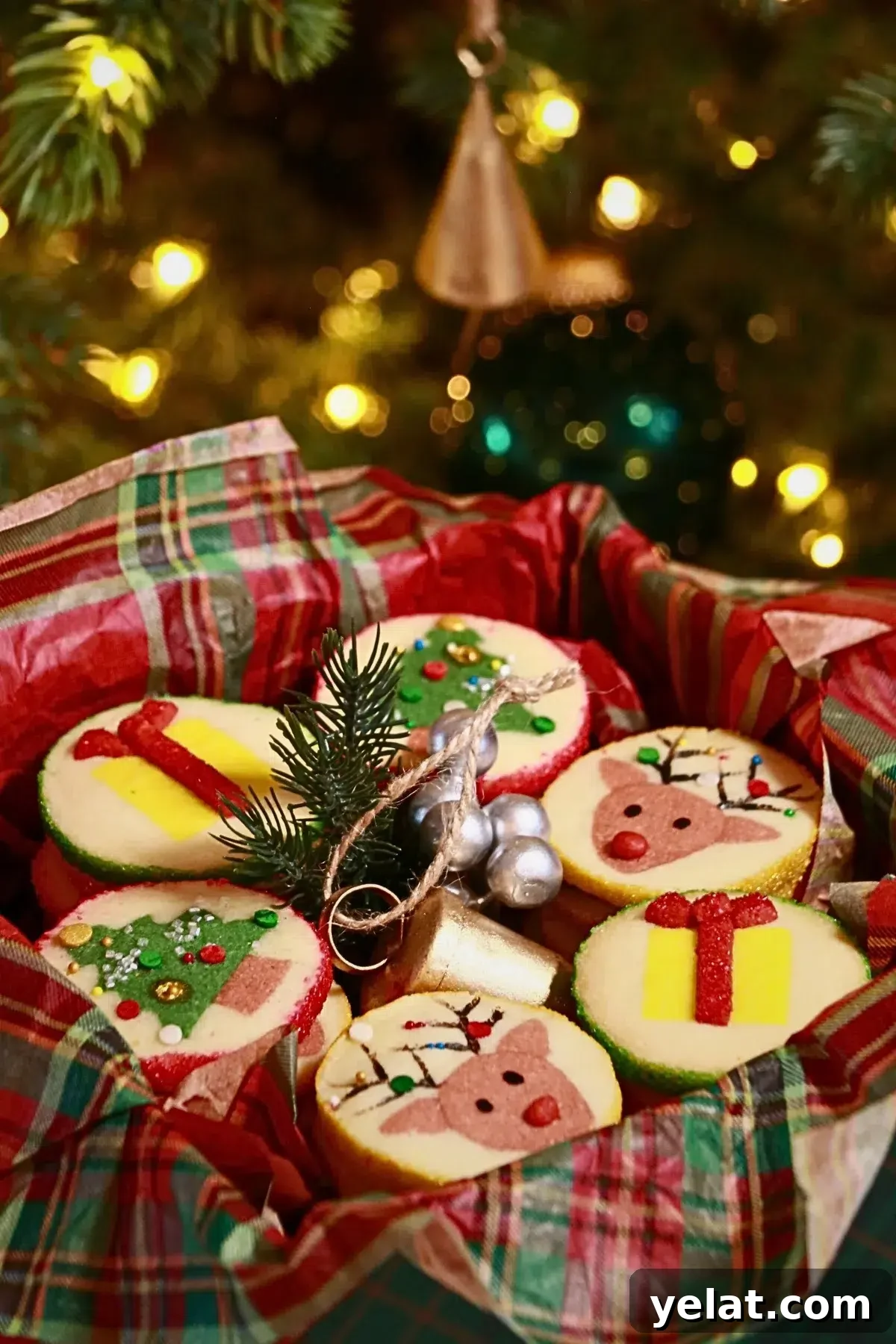 Slice-and-Bake Christmas Cookies: Tree, Reindeer & Gift Box Ideas 2 3 kinds of slice-and-bake Christmas cookies in a gift box