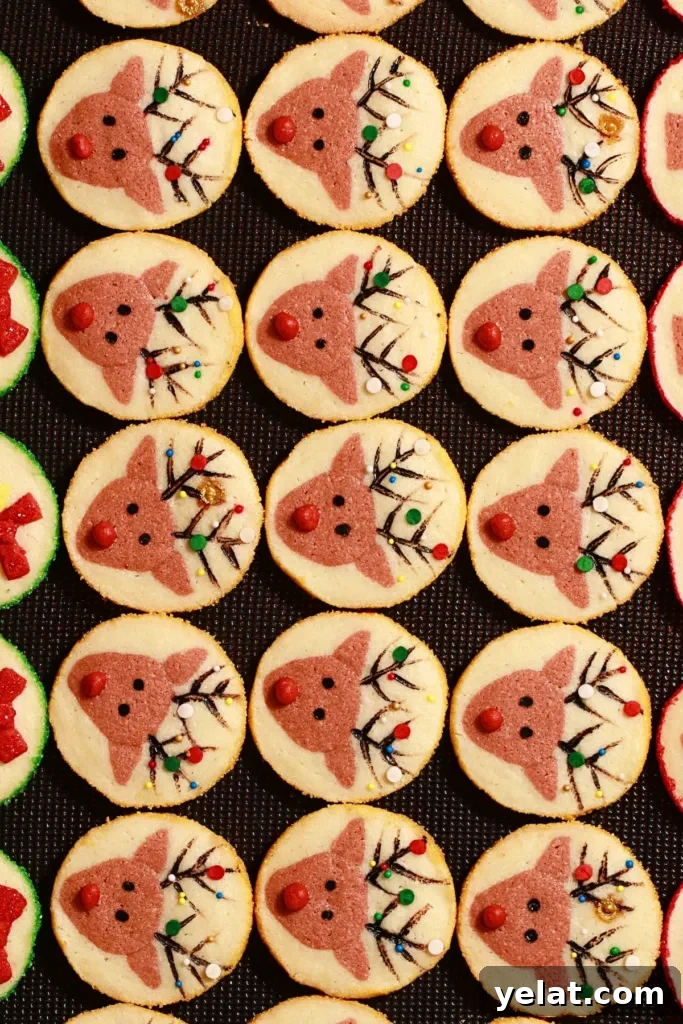 Slice-and-Bake Christmas Cookies: Tree, Reindeer & Gift Box Ideas 15 slice-and-bake reindeer cookies on a baking sheet