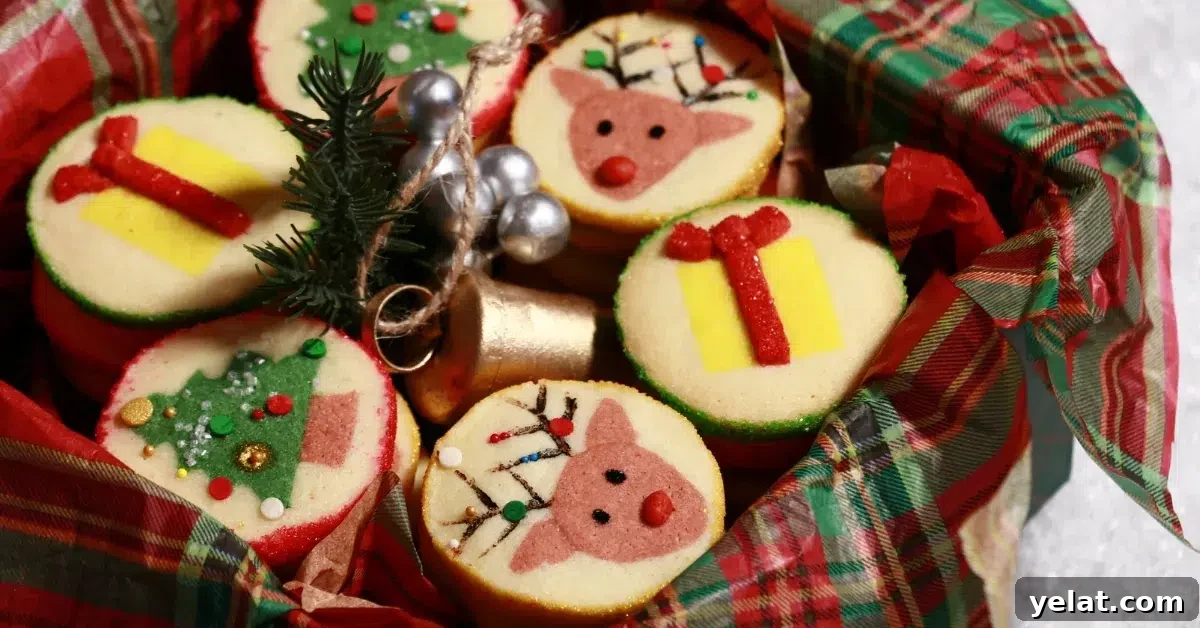 Slice-and-Bake Christmas Cookies: Tree, Reindeer & Gift Box Ideas 16 3 kinds of slice-and-bake christmas cookies in a box