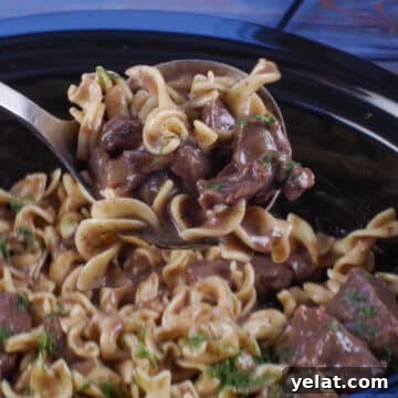 Comforting Recipes for Everyday Wellness and Flavor 6 light beef stroganoff being ladled out of slow cooker