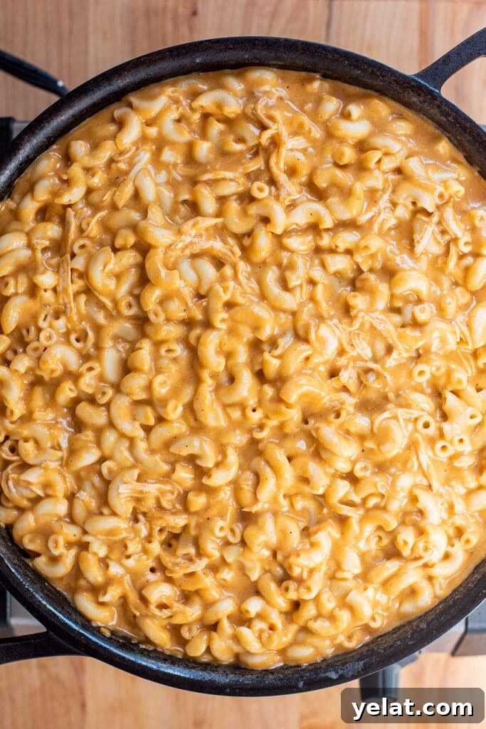 Skillet Buffalo Chicken Macaroni and Cheese Recipe 18 Buffalo chicken mac and cheese in a cast iron skillet before baking with breadcrumbs.