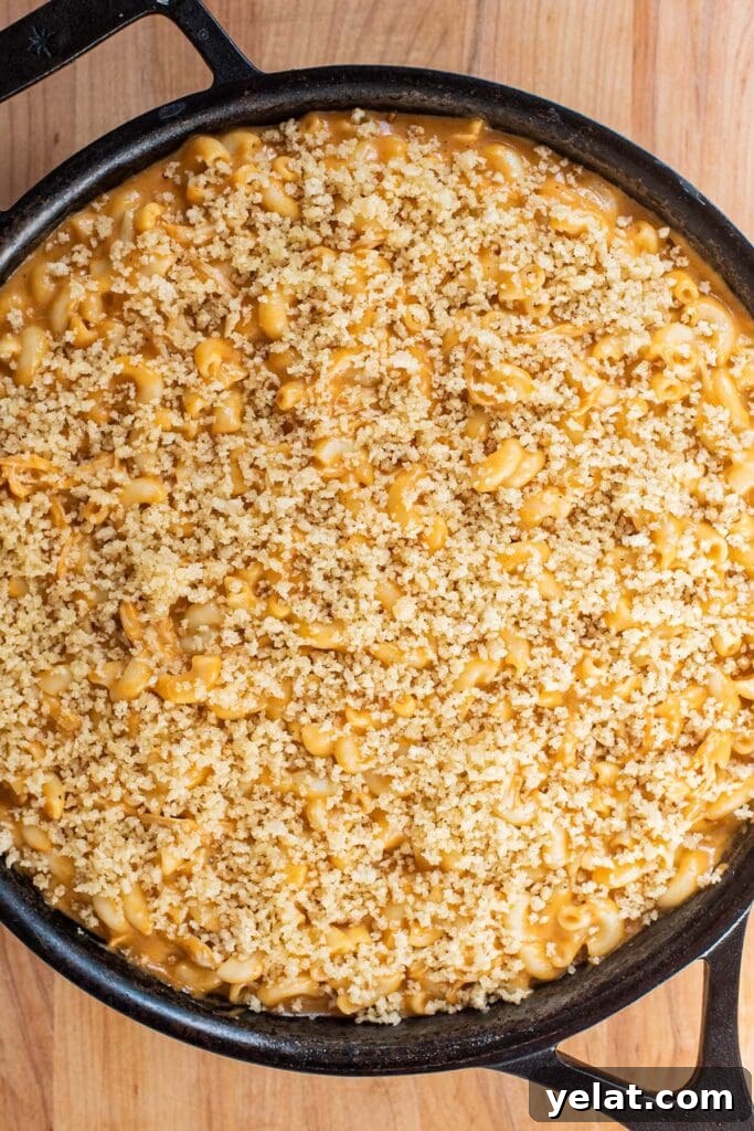 Skillet Buffalo Chicken Macaroni and Cheese Recipe 20 Panko crumbs topped over unbaked macaroni and cheese in a cast iron skillet.