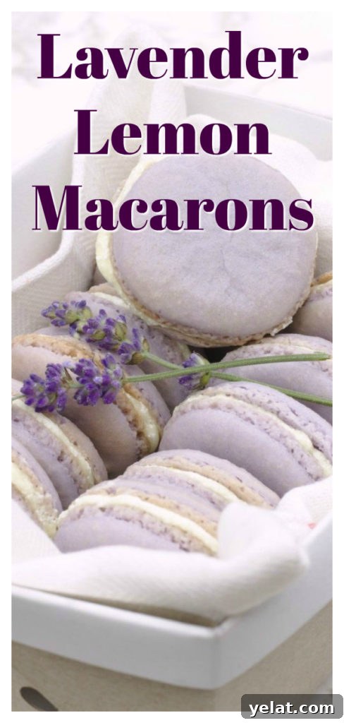 Lavender Lemon Macarons - Easy macaron recipe