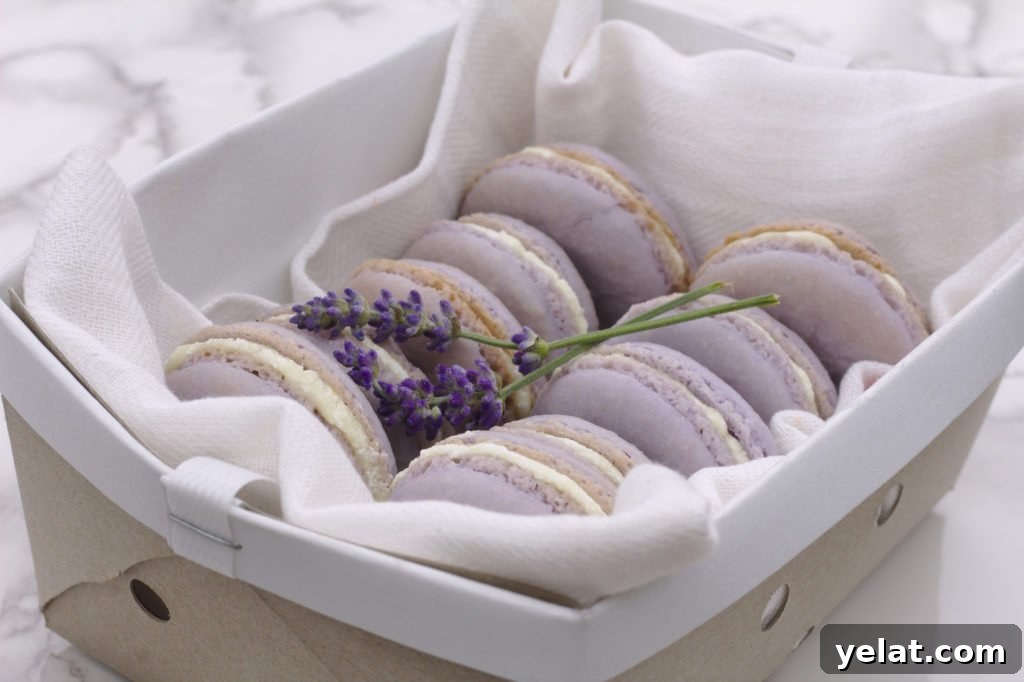 Easy Macaron Recipe