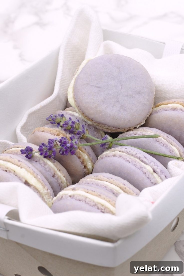 Lavender Lemon Macarons