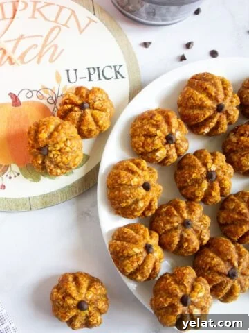 Multiple pumpkin protein balls on a white plate and more on a fall decoration behind it.