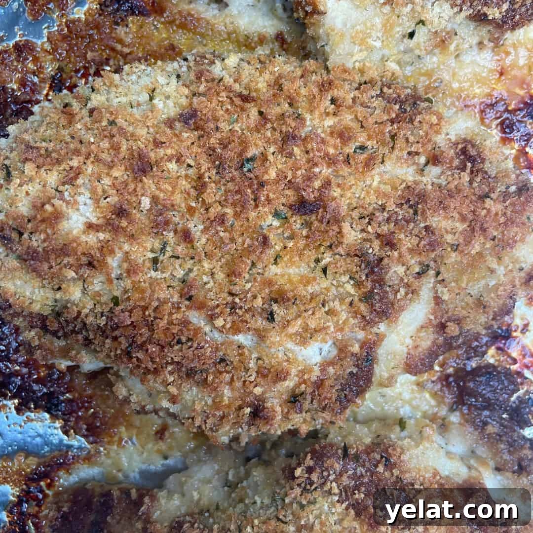 oven baked parmesan chicken