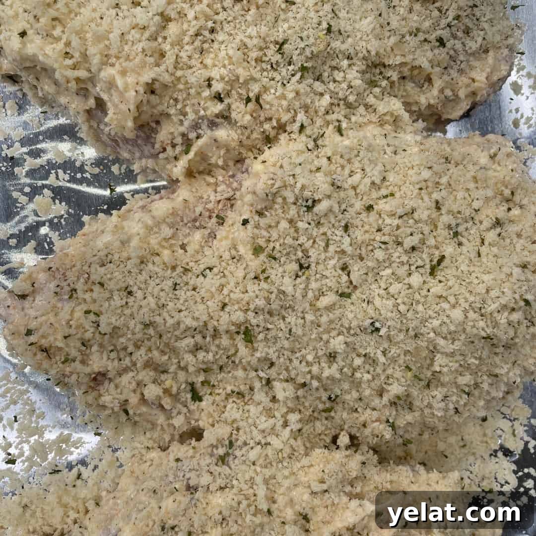 oven baked parmesan chicken before baking 
