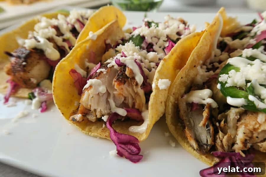 close-up of blackened mahi-mahi fish tacos