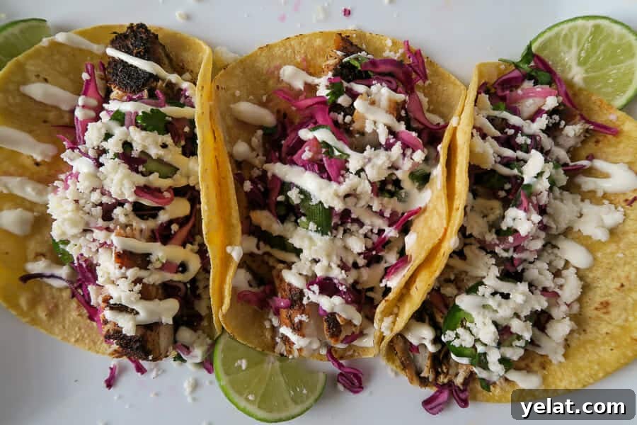 overhead shot of a plate of blackened mahi-mahi fish tacos 