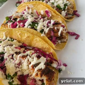 blackened mahi-mahi fish tacos topped with red cabbage slaw, cream, and jalapeños