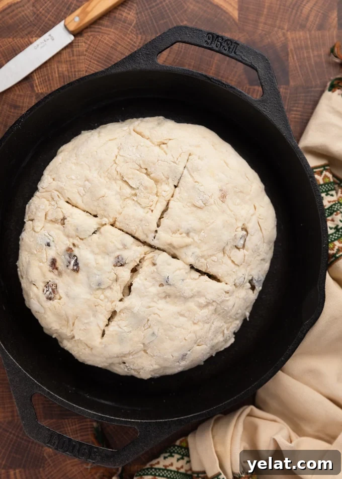 Classic Irish-American Soda Bread Recipe for Homemade Loaves 6 Unbaked Irish-American Soda bread in a cast iron skillet