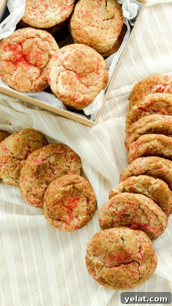 Valentine Snickerdoodle Cookies with Sweet Cinnamon Hearts 3 Valentine's Snickerdoodle Cookies in a gift box and spread across the table.