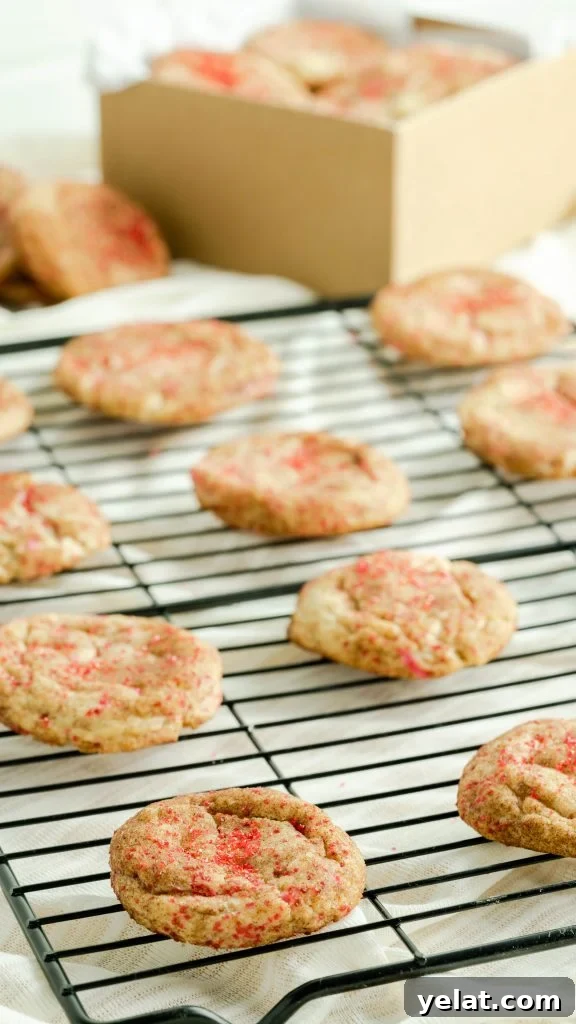 Valentine Snickerdoodle Cookies with Sweet Cinnamon Hearts 4 Snickerdoodle cookies with red sprinkles on black cooling rack.
