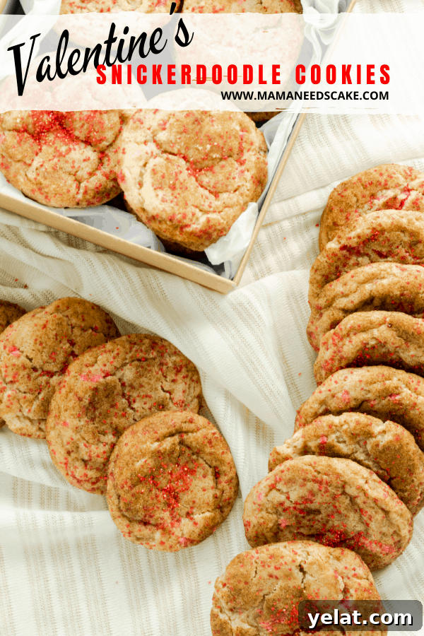 Valentine Snickerdoodle Cookies with Sweet Cinnamon Hearts 9 Classic snickerdoodle cookies with a Valentine's Day spin.