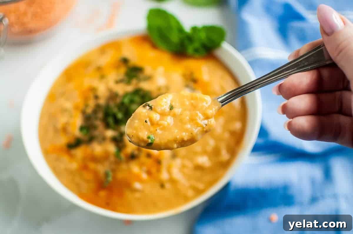 A spoon lifts a spoonful of red lentil soup from a white bowl.
