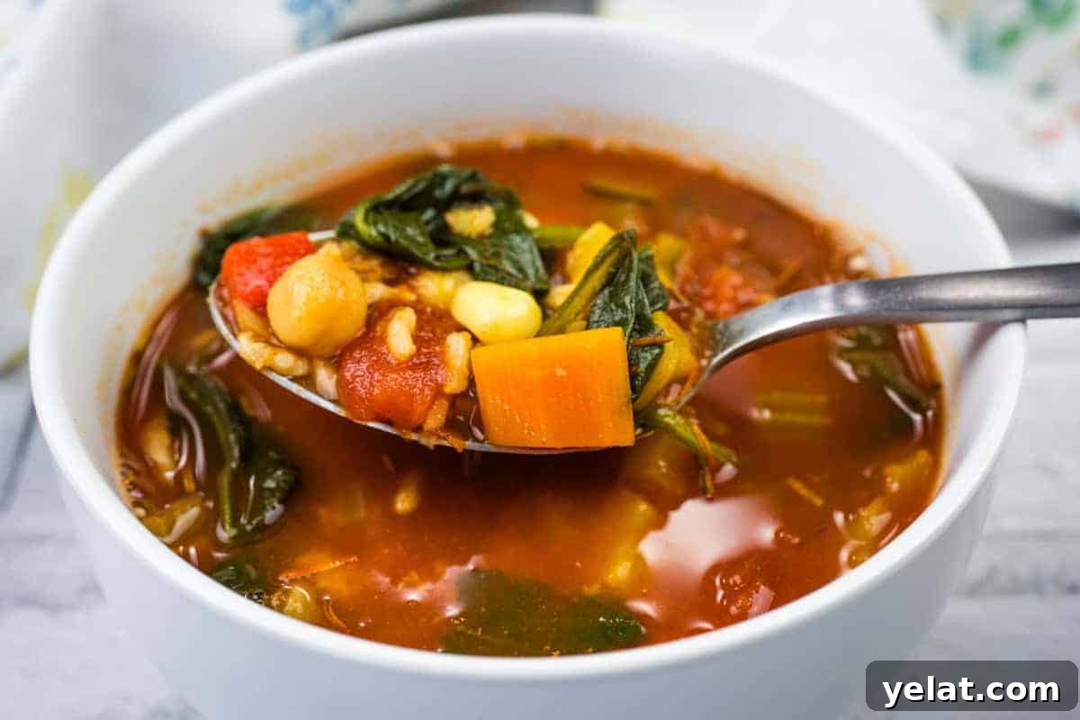 A spoonful of Copycat Panera Bread’s 10 Vegetable soup from a white bowl.