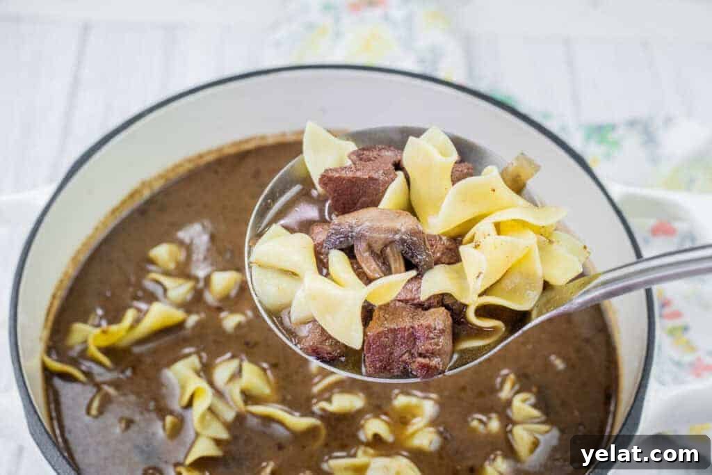 A ladle holds beef chunks, mushrooms, and egg noodles over a pot of Beef Stroganoff Soup.