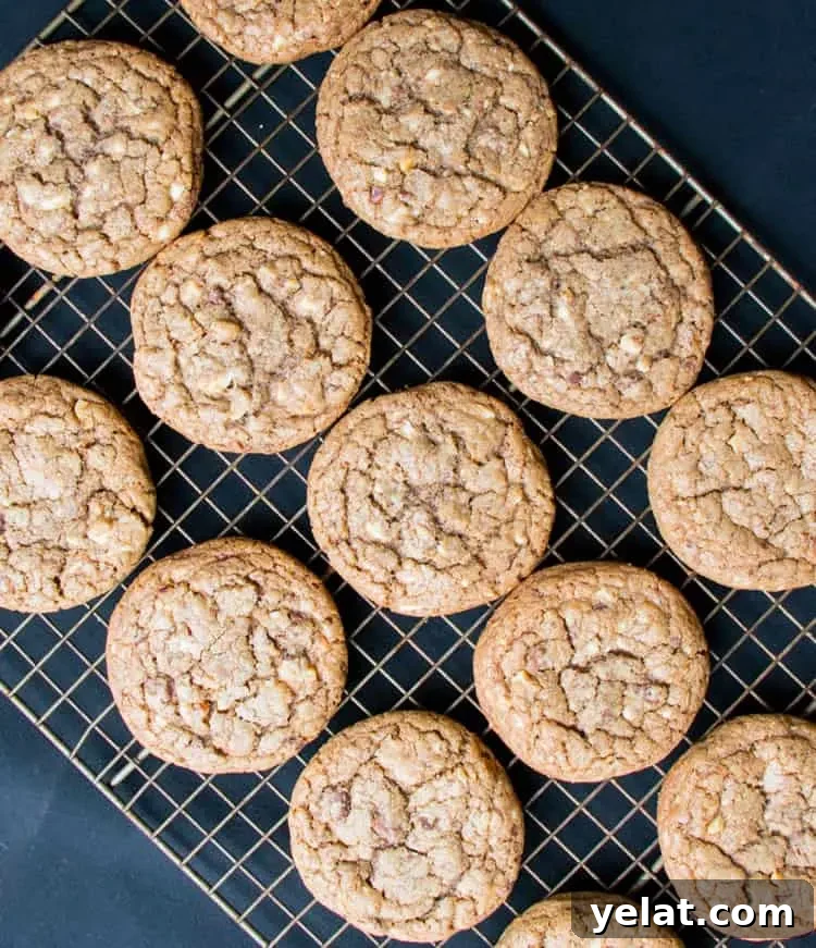 Hazelnut Mocha Cookies with Cream Filling 4 Hazelnut Mocha Coffee and Cream Cookies. A soft chewy cookie with the flavors of your favorite coffee. Four kinds of chocolate and toasted hazelnuts make for the most delicious cookie!
