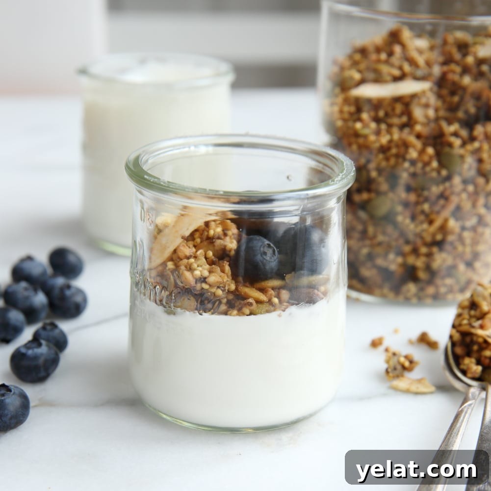 Toasted Buckwheat & Millet Granola – Gluten-Free, Vegan Option 2 Millet granola in jar with yogurt and blueberries