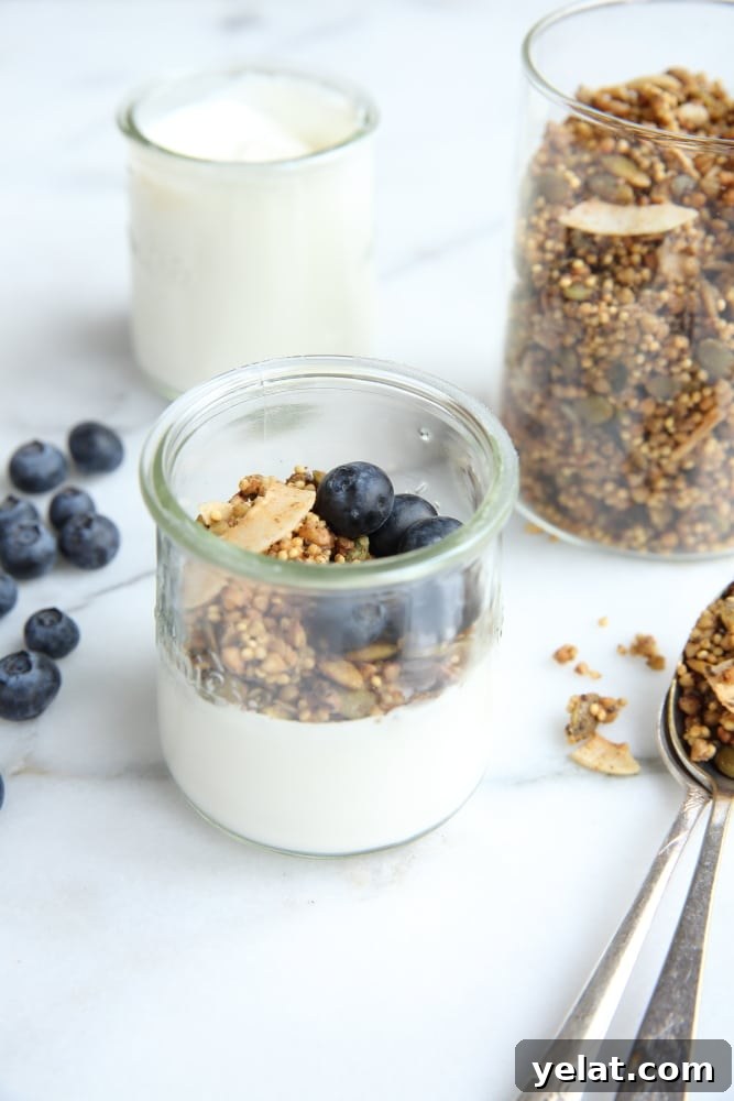 Toasted Buckwheat & Millet Granola – Gluten-Free, Vegan Option 5 Side angle shot of millet granola in jar with yogurt with blueberries