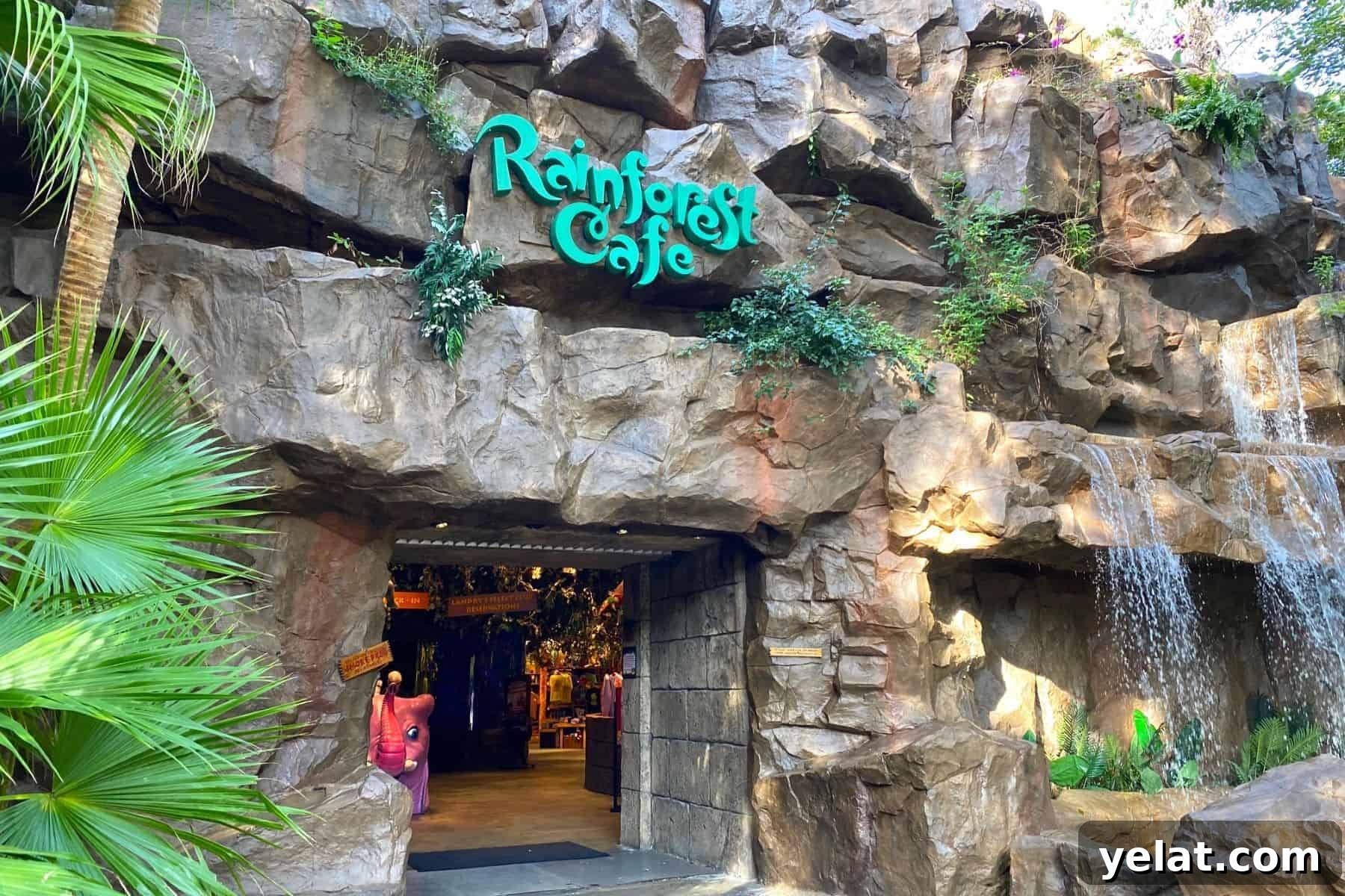 Rainforest Cafe Breakfast Review at Disney's Animal Kingdom 2 rainforest cafe entrance animal kingdom