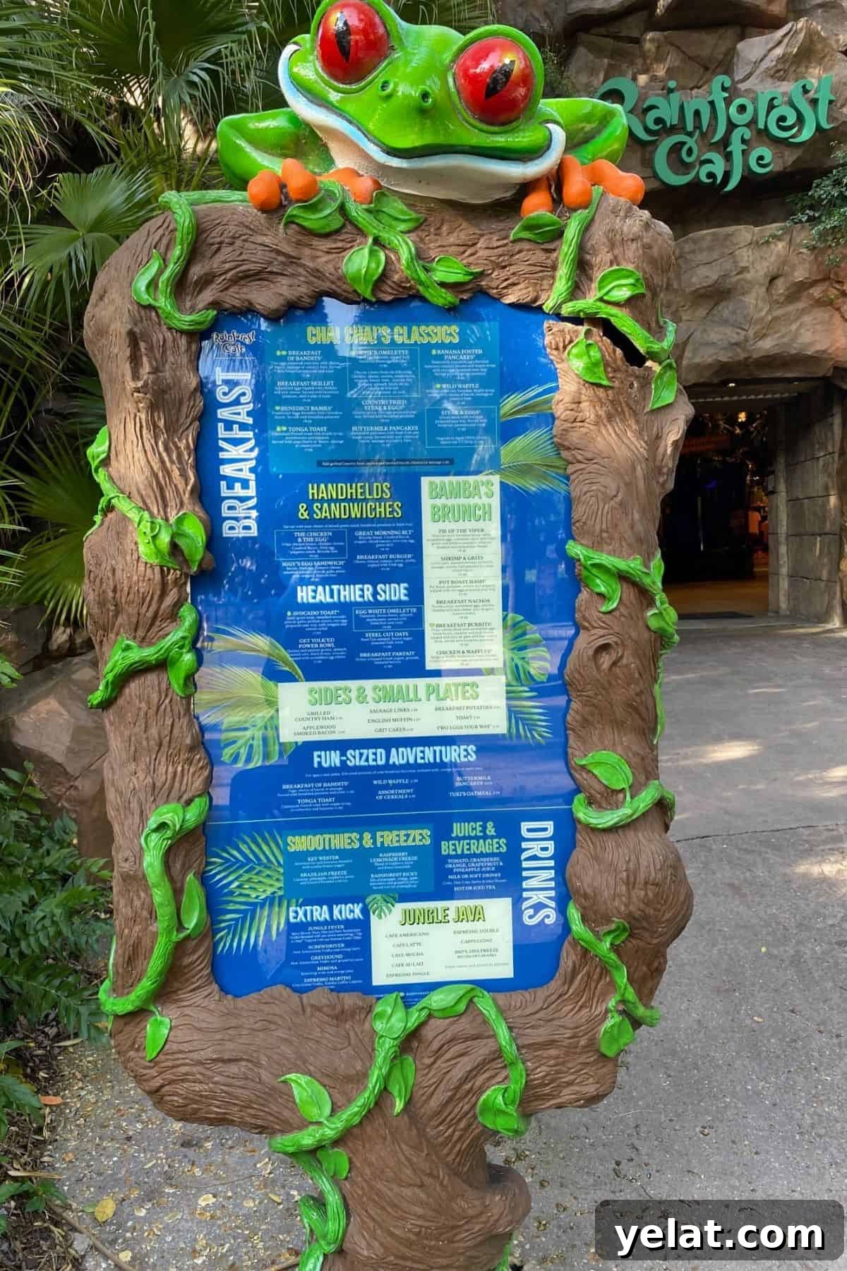Rainforest Cafe Breakfast Review at Disney's Animal Kingdom 10 rainforest cafe exterior menu decor