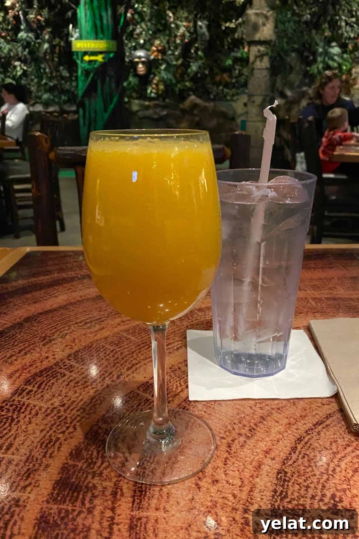 Rainforest Cafe Breakfast Review at Disney's Animal Kingdom 12 rainforest cafe mimosa
