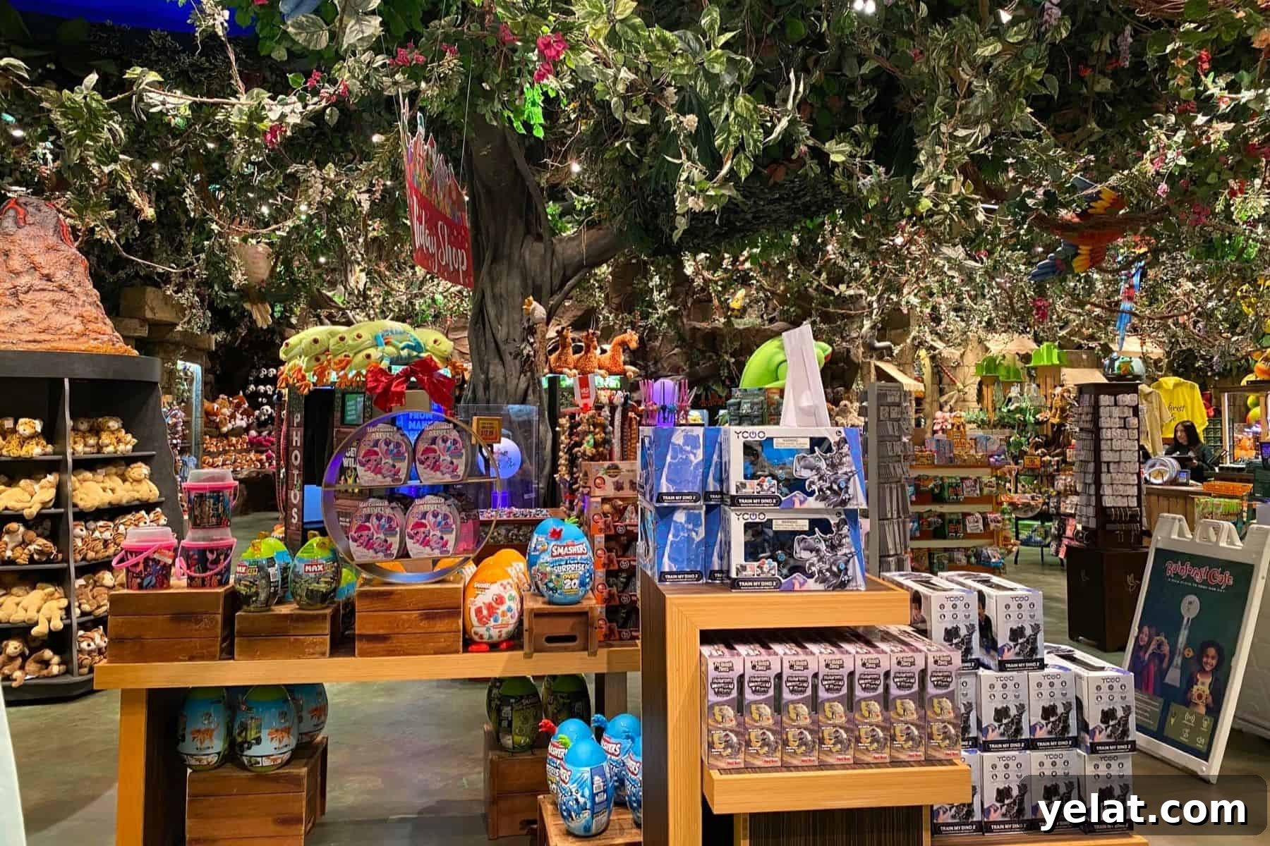 Rainforest Cafe Breakfast Review at Disney's Animal Kingdom 3 animal kingdom rainforest cafe gift shop